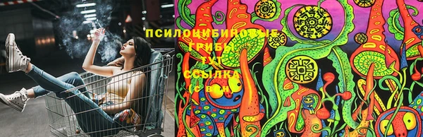spice Кулебаки